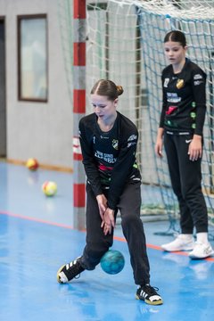 Bild 92 - wCJ TSV Ellerbek - AMTV Hamburg 2 : Ergebnis: 25:20